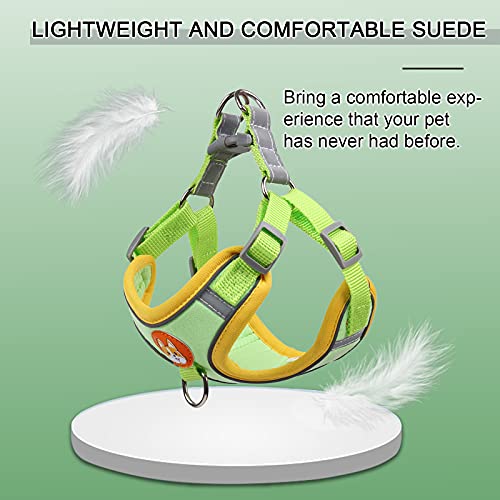Rennaio Dog Harness No Pull, Adjustable Puppy Harness With 2 Leash Clips, Ultra Comfort Padded Dog Vest Harness, Reflective Dog Harness And Leash Set For Small And Medium Dogs (Green, S) #TOP2