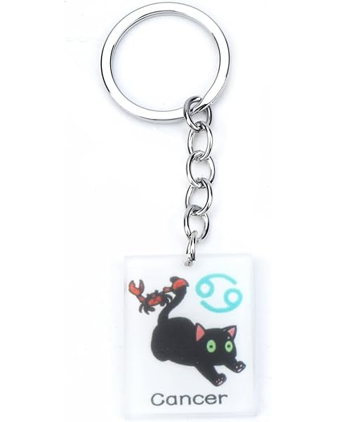 12 Zodiac Signs Black Cat Keychain,Acrylic Funny Cat Keychain for Women,Birthday Gi...