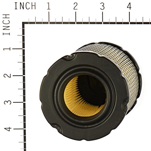 Briggs & Stratton 793569 - Cartuccia per filtro