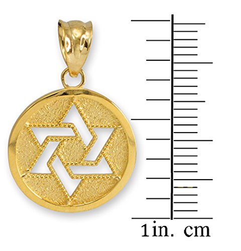 Fine 10k Yellow Gold Milgrain-Edged Medal Jewish Star of David Charm Pendant2