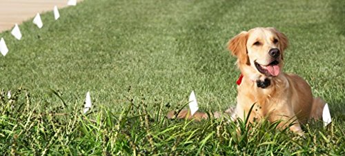 Spool of high tensile electric dog fence wire