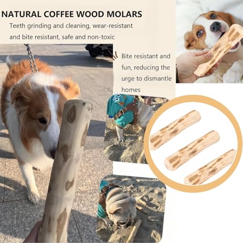 MOAZIFI 3 Stück Kaffeeholz für Hunde, Natürliches Kauholz, Robuster Kauknochen Groß mit Kauwurzel - Sicherer Kauspaß für kleine und große Hunde, hundespielzeug