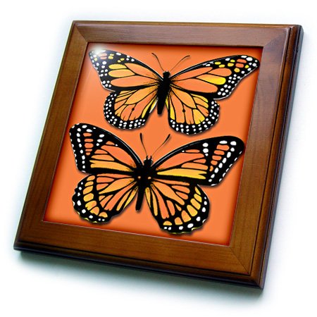 Amazon.co.jp: 3dRose ft_170878_1 Two Colorful Monarch Butterflies