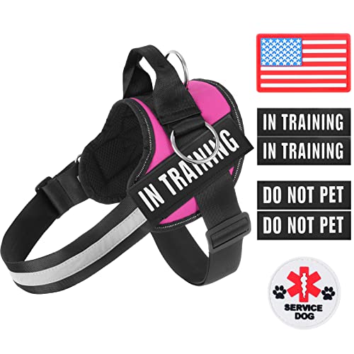 Essential Dog Harness, No Pull Pet Harness With 3 Side Rings For Leash Placement, No Choke, Reflective, Adjustable Pet Vest, Easy On-Off & Improved Control Handle, Training, Walking, Running #TOP7