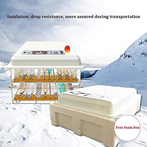 Incubator ei 56 eieren automatische karton transparante led display temperatuurregeling, gebruikt voor kippen, eenden… - Afbeelding 6