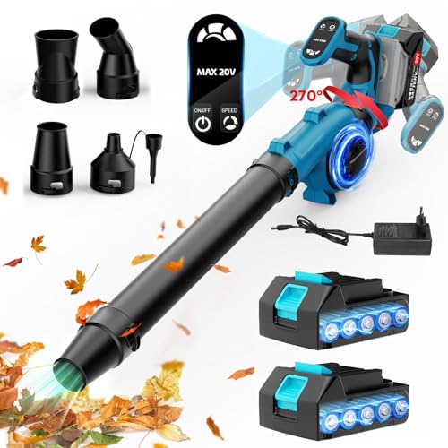 Souffleur à Batterie 21V avec 2 Batteries et 4 Buses