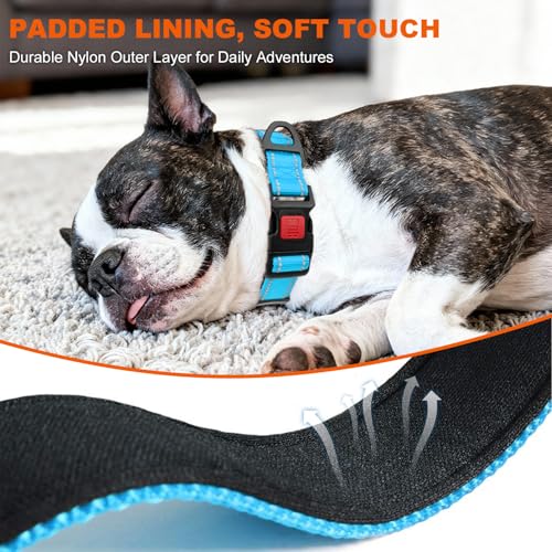 Image of Taglory Reflective Small Dog Collar, Comfort for Safe Night Walks, SkyBlue