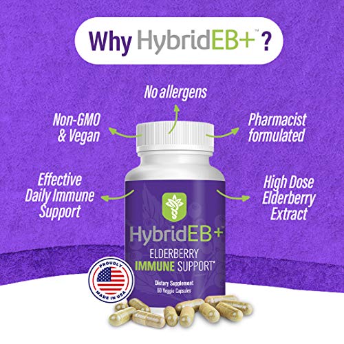 Hybrideb Sambucus Elderberry Immune Support With Vitamin C, Zinc, Vitamin D3, Garlic & Oregano (60 Capsules) - Antioxidant & Immune Supplement, 1 Month Supply - 9 In 1 Black Elderberry For Adults #TOP1
