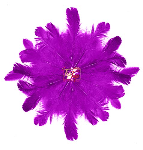 Image of Natural Dyed Feathers 10 cm (80 pieces) (Purple)