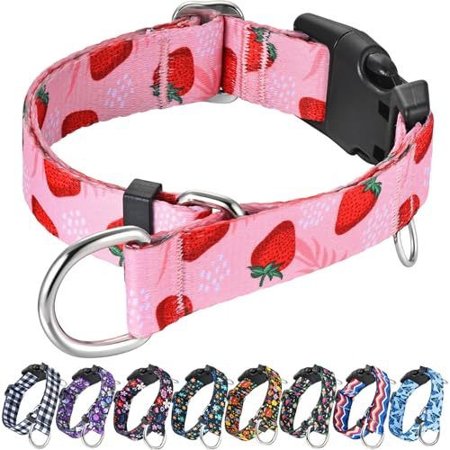 Fidohug Martingale Collar for Dogs Pink Strawberry Pattern