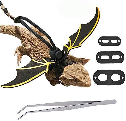 bearded dragon leash amazon