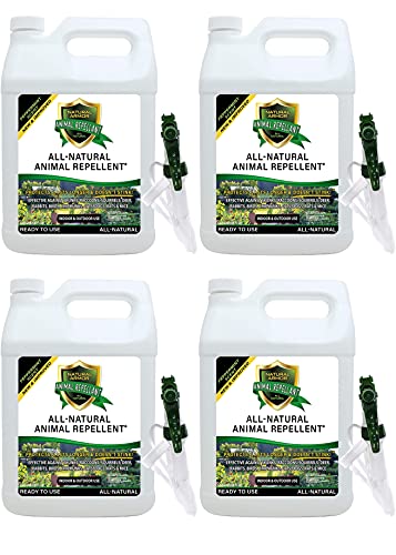 Natural Armor Animal & Rodent Repellent Spray. Repels Skunks, Raccoons, Rats, Mice, Deer Rodents & Critters. Repeller & Deterrent in Powerful Peppermint Formula – 128 Fl Oz Gallon Case of 4 Natural Armor Animal & Rodent Repellent Spray. Repels Skunks, Raccoons, Rats, Mice, Deer Rodents & Critters. Repeller & Deterrent in Powerful Peppermint Formula – 128 Fl Oz Gallon Case of 4
