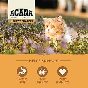 ACANA Highest Protein Meadowlands Grain-Free Dry Cat Meals, Free-Run Rooster and Turkey and Rooster Liver Cat Meals Recipe, 4lb ACANA Highest Protein Meadowlands Grain-Free Dry Cat Meals, Free-Run Rooster and Turkey and Rooster Liver Cat Meals Recipe, 4lb