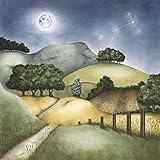 Second Brightest Star