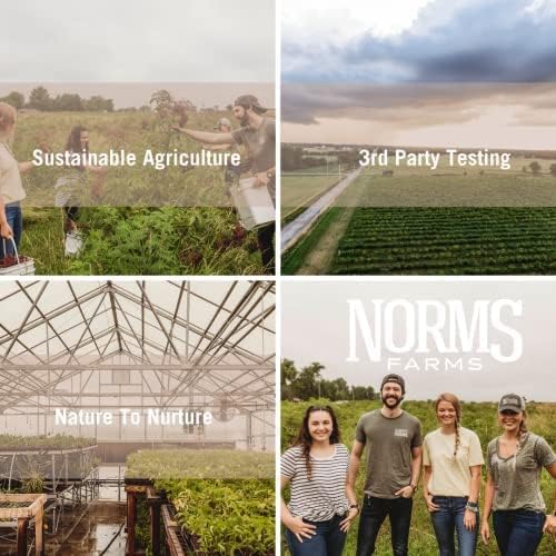 Miniatura 7 de Norm's Farms Jarabe de bienestar de baya de saúco negro + miel, canela y clavo, apoyo inmunológico natural, Kosher, sin gluten, sin OMG, 2 botellas