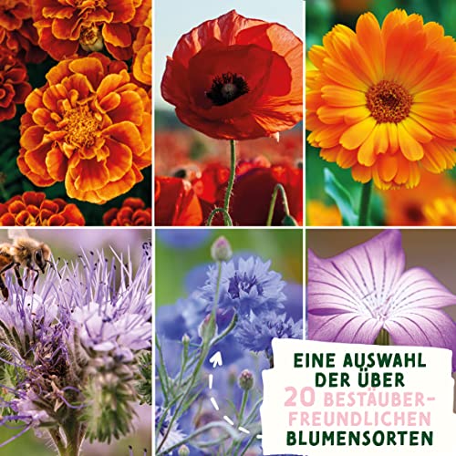 valeaf Blumensamen Wildblumenwiese I Blumen Saatgut als Ostergeschenk, Ostergras Samen I Blumen Samen Oster Geschenk u. Oster Geschenk Kinder I Wildblumen Samen I Blumensamen Tütchen für Blumenwiese
