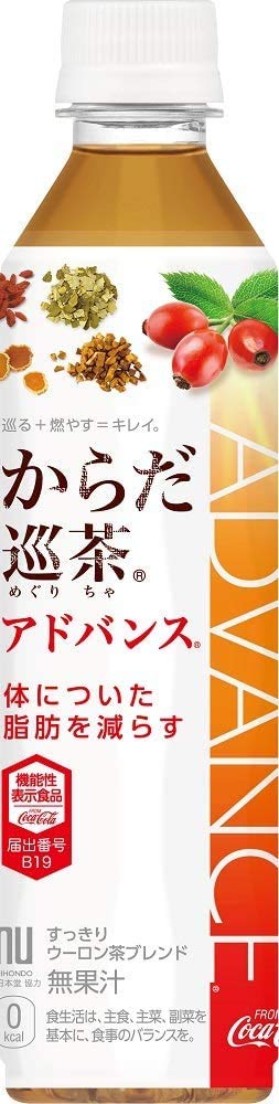 からだ巡茶 Advance 410mlPET×48本 2ケース