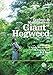 Ecology and Management of Giant Hogweed (Heracleum mantegazzianum) (Cabi Publishing)