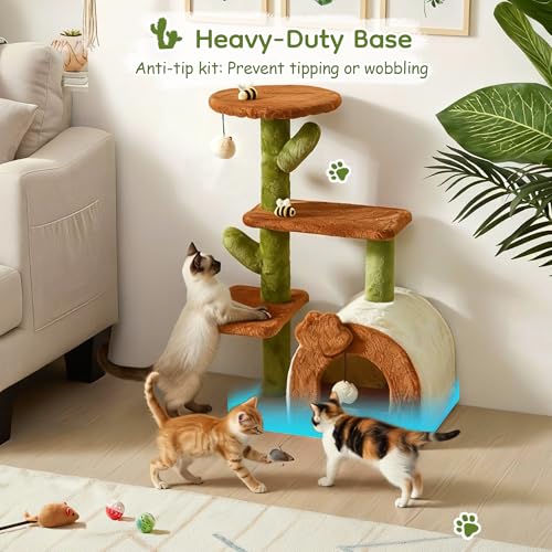 Árbol de gato cactus para interiores 27.5 pulgadas miniatura 5
