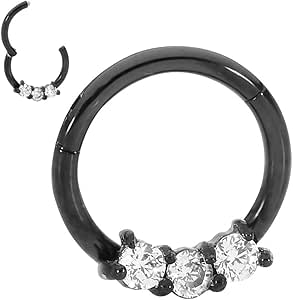 Alisouy 1PCS Stainless Steel Tiny Nostril Segment Nose Rings Captive Ear Nose Ho - Foto 10