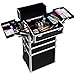 Ollieroo 4 in 1 Aluminum Rolling Cosmetic Makeup Train Cases Trolley Professional Artist Train Case Organizer Box Lift Handle Lock 2 wheel 2 Keys Each Layer Total 8 Keys Makeup Luggage (Black)