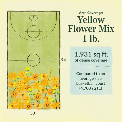 Image of Ferry-Morse Yellow Bulk Wildflower Seeds, 320,000+, 1 lb