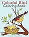 Colorful Bird Coloring Book: Adult Coloring Book of Wild Birds in Natural Settings (Nature Coloring Books)