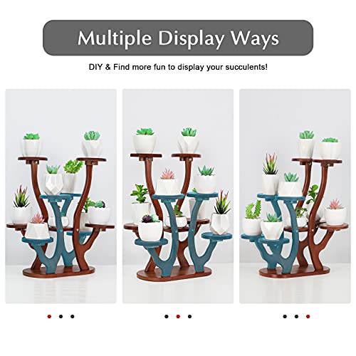 Jotsport 9 Pots Mini Succulent Stand Windowsill Small Plant Stand Multi Layers Succulents Display Shelf Kitchen Windowsill Desk Tabletop Plant Holder #TOP4