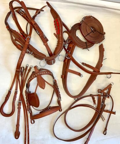 Ensemble de harnais de conduite pour chariot de cheval en nylon de qualité supérieure, marron, matériel équestre complet avec rênes et bride pour poney, cob, complet et Shetland (Cob)