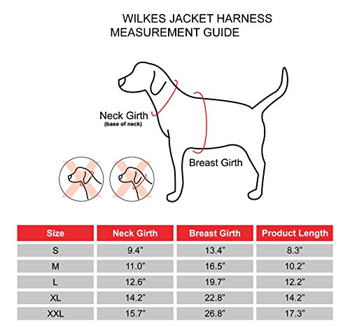 Puppia PAQD-VT1463 Wilkes, Wintermantel, M, dunkelblau