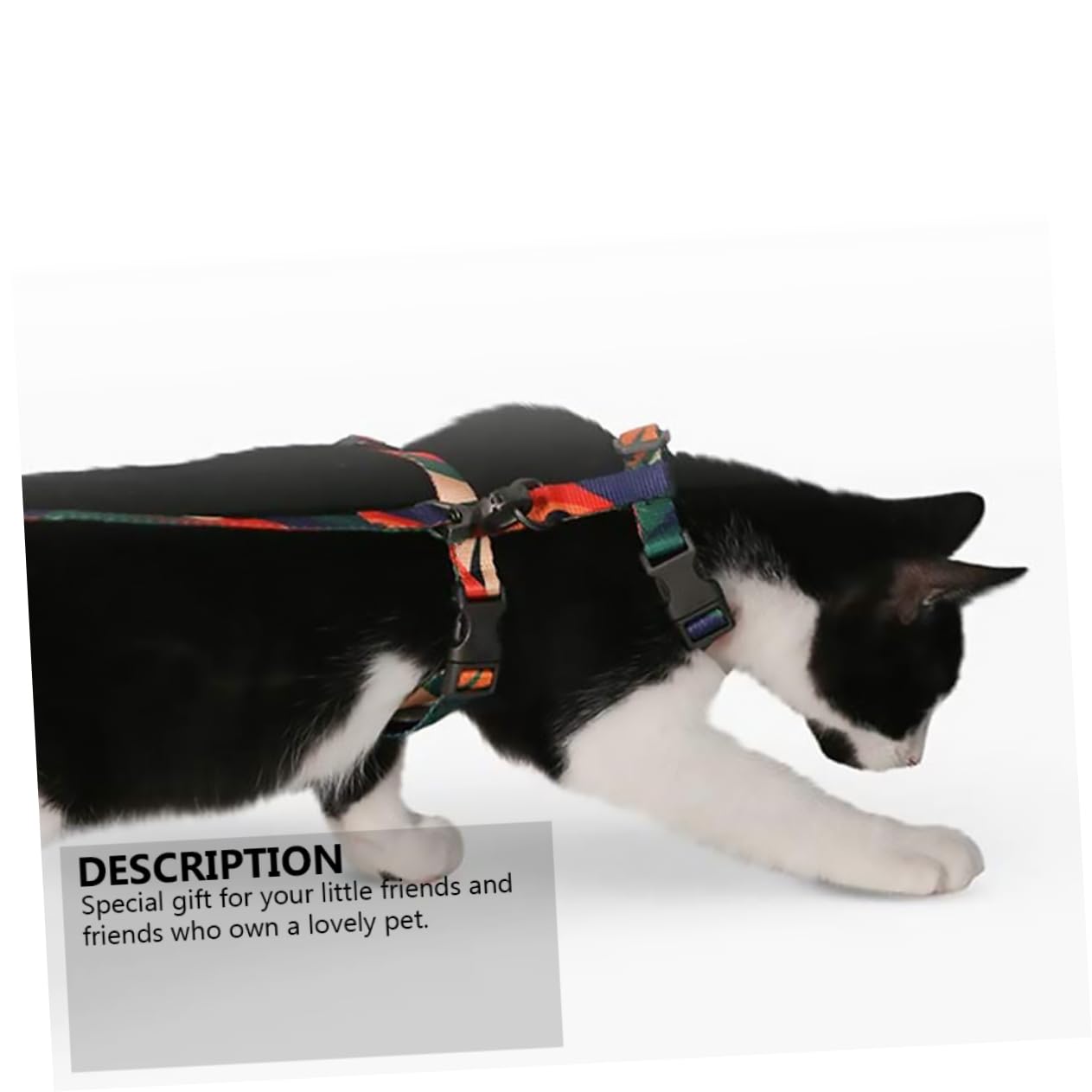 SUPVOX 3pièces pour Chat avec Laisse Cordon Anti-échappement Et Accessoire De pour Animaux De Compagnie Design