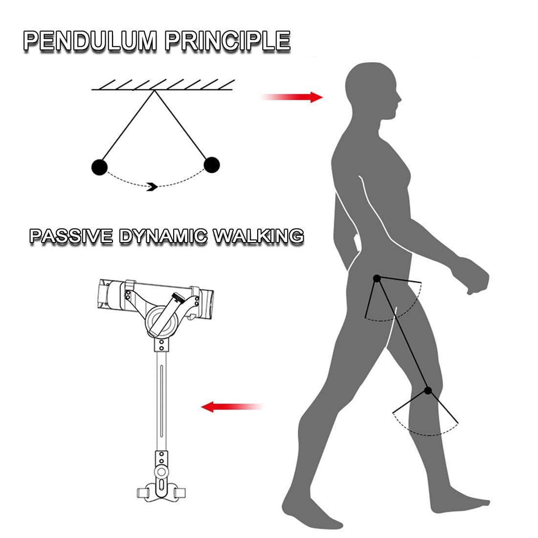 Bionic Body Power Walking Aids,Fácil Ajuste Una Mano,Materiales Ligeros (Fibra Carbono+PA) 1.05kg,3 Niveles Ajustables,Funciona Sin Necesidad de Carga,Exoesqueleto para Caminar,M