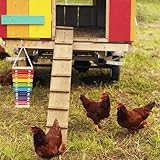 Bird Xylophone Toy - Wooden Musical Birds Toy, Vibrant Cage Hanging Plaything | Fun Parrot Training Toy Interactive Pet Entertainment, Lightweight Colorful Bird Cage Accessory Bird Music Toy - Image 5