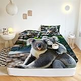 Photo Gallery xcqhzyq lenzuolo con angoli matrimoniale 160x200 cm koala animale carino lenzuolo con angoli in microfibra extra morbido traspirante e lavabile, altezza materasso fino a 30 cm, per letto matrimoniali Photo Gallery xcqhzyq lenzuolo con angoli matrimoniale 160x200 cm koala animale carino lenzuolo con angoli in microfibra extra morbido traspirante e lavabile, altezza materasso fino a 30 cm, per letto matrimoniali