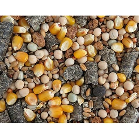 Karpfenhans Partikelmix Super Karpfen Partikel Cover