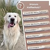 Zoys Kaffeeholz für Hunde - Natürlicher Kauknochen für Hunde in 5 Größen - Kaustab für Zahnreinigung & Zahngesundheit & nachhaltige Beschäftigung - Hundezubehör langlebig & risikoarm (L, 1, stück)