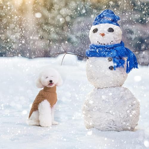 Image of BINGPET Dog Sweater for Small Medium Dogs, Turtleneck Knitted Clothes