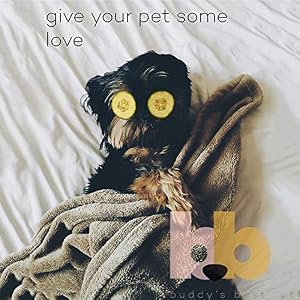 Buddy's Best Dog Shampoo for Smelly Dogs - Dog Shampoo and Conditioner for Dry and Sensitive Skin - Moisturizing Puppy Wash Shampoo, Coconut Vanilla Bean Scent, 16oz Buddy’s Best Dog Shampoo for Smelly Dogs – Dog Shampoo and Conditioner for Dry and Sensitive Skin – Moisturizing Puppy Wash Shampoo, Coconut Vanilla Bean Scent, 16oz