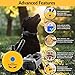 Educator 1/2 Mile Remote Dog Training System Plus E-Collar 101 Training DVD, Safe Humane Stimulation, Pavlovian Tone, Waterproof, Odorproof Biothane Collar, Night Light, Rechargeable, 1 Dog, Yellow