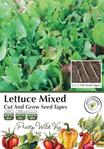 Lettuce Mixed 'Cut & Grow' Seed Tape in Pictorial Packet - 5m