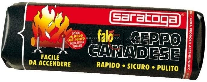 stufa a legna per la casa