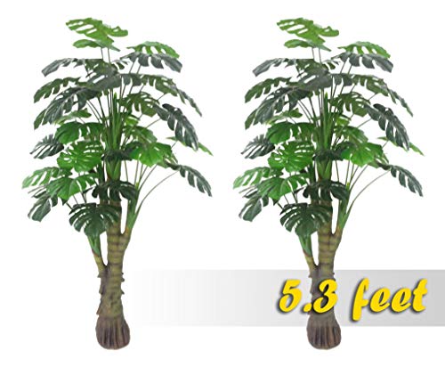 Amerique Pair 5.3' Gorgeous & Unique Monstera Palm Tree Artificial Plant, Real Touch Technology, With Uv Protection, Super Quality, 5.3 Feet #TOP21