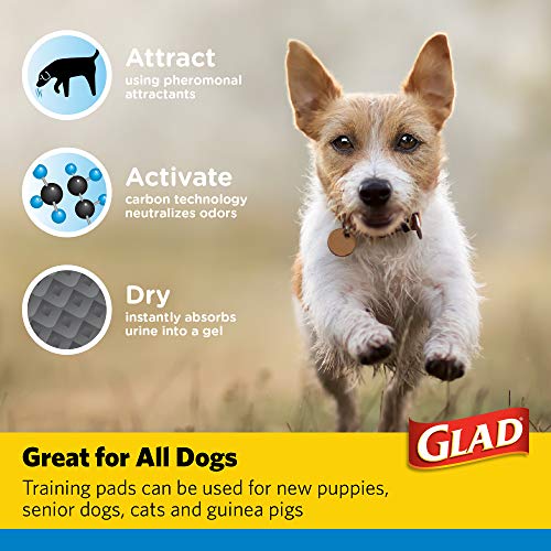 Image of Glad for Pets Black Charcoal Puppy Pads, Puppy Potty Training Pads that Absorb & NEUTRALIZE Urine Instantly, New Improved Quality, 240 Training Pads Total