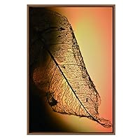 SIGNWIN Framed Canvas Wall Art XRay View of a Leaf Botanical Plants Photography Modern Art Contemporary 3D Relax/Calm for Living Room, Bedroom, Office - 16
