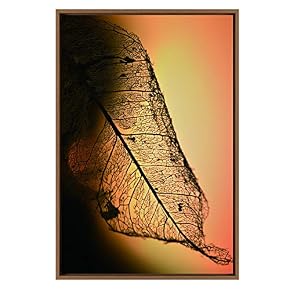 SIGNWIN Framed Canvas Wall Art XRay View of...