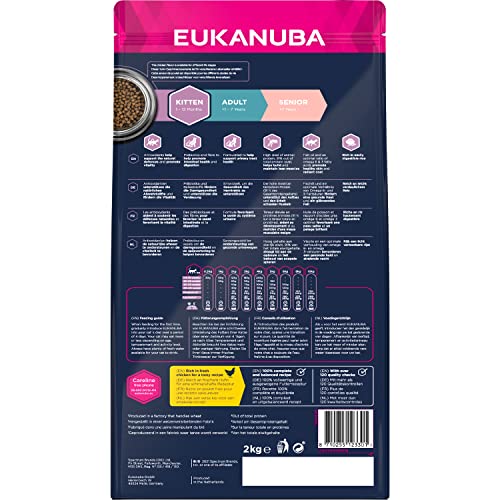 Eukanuba Junior Katzenfutter trocken - Premium Trockenfutter für Kitten von 1-12 Monate, fördert gesundes Wachstum, hoher Fleischanteil, 2 kg