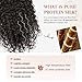 Clip in Hair Extensions, FLUFYMOOZ 4PC 100％ Pure Protein Silk Hair Extensions Long Soft Natural Hairpiece 20 Inch Curly Hair Extension for Women (Dark Chocolate Brown)