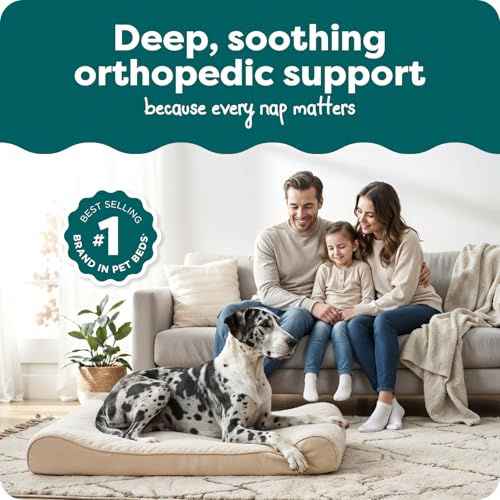 Image of FurHaven Orthopedic Dog Bed for Large Dogs, Luxe Lounger Contour Mattress with Solid Orthopedic Foam Slab for Joint Support, Removable Washable Cover - Jumbo Plus XXL, Plush Suede, Cream