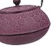 30 oz Cast Iron Teapot Enamel Lining W/Metal Infuser Tea Kettle, Purple