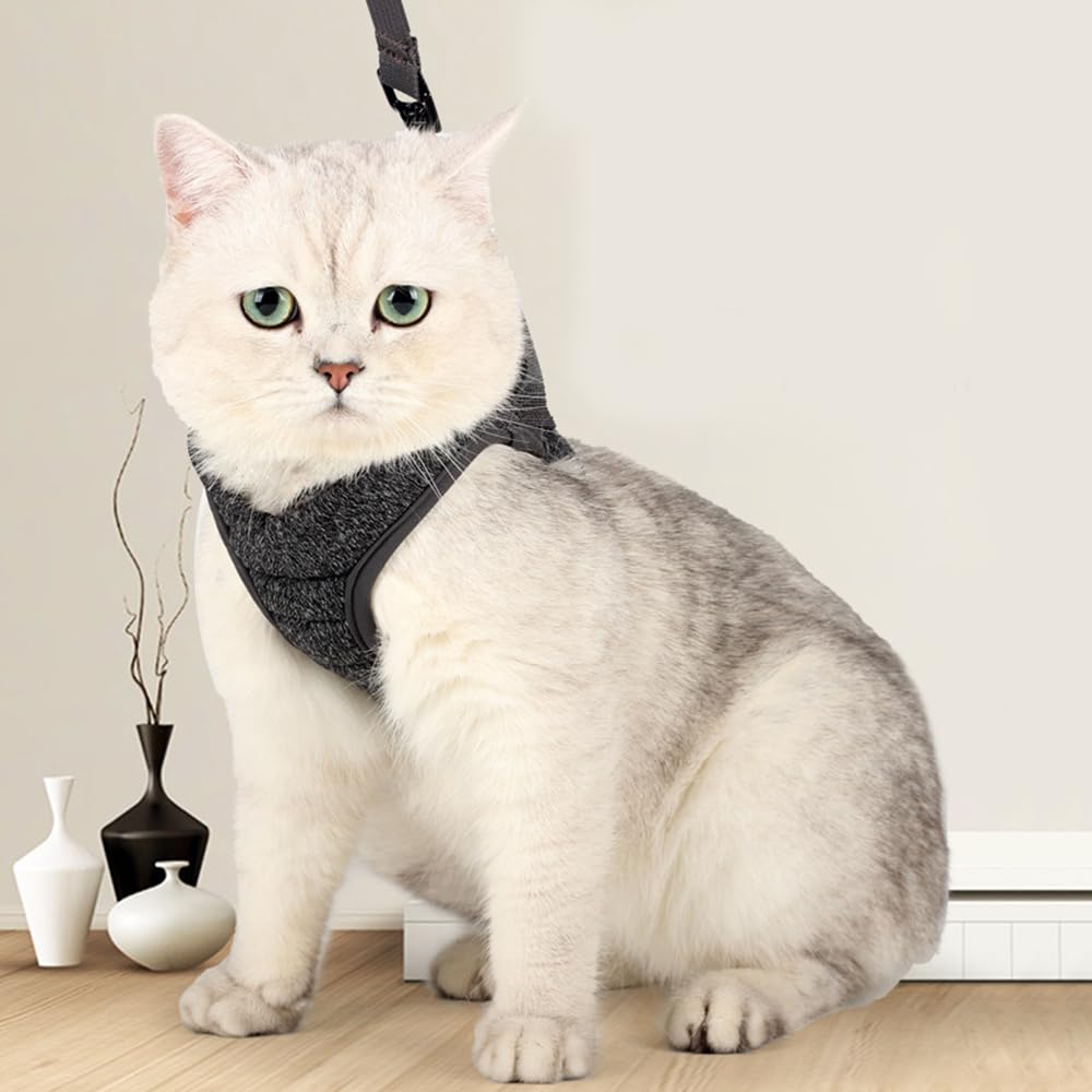Pettorina Gatto Traspirante Antifuga Chiusura Velcro Regolabile
